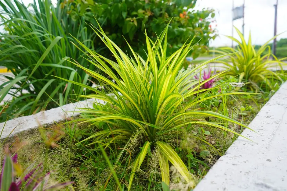 Greens & Outdoors at HIRANANDANI PUNE OFFICE, North Hinjewadi, Pune