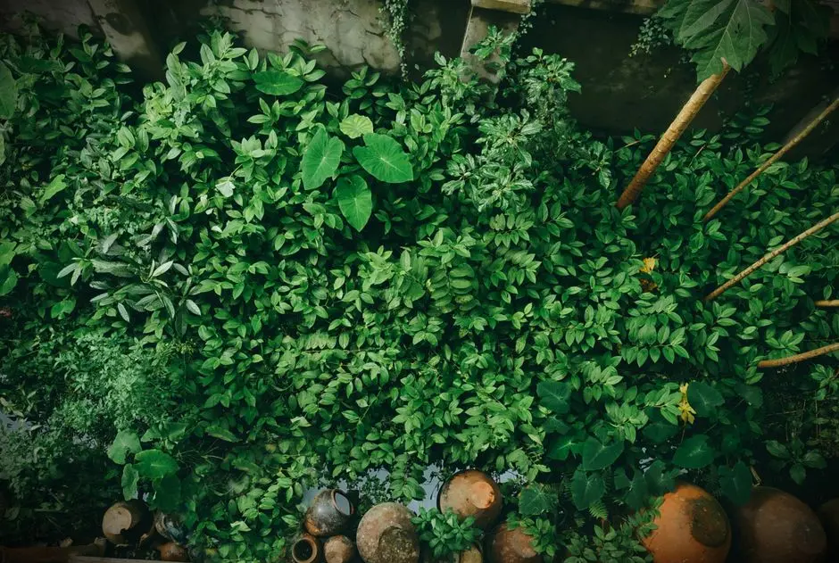 Greens & Outdoors at HIRANANDANI THE ESTATES, Alibaug, Alibaug
