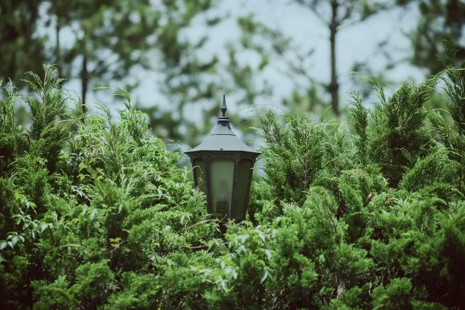 Greens & Outdoors at HIRANANDANI WESTGATE HAMPSTEAD, Hiranandani Estate, Thane