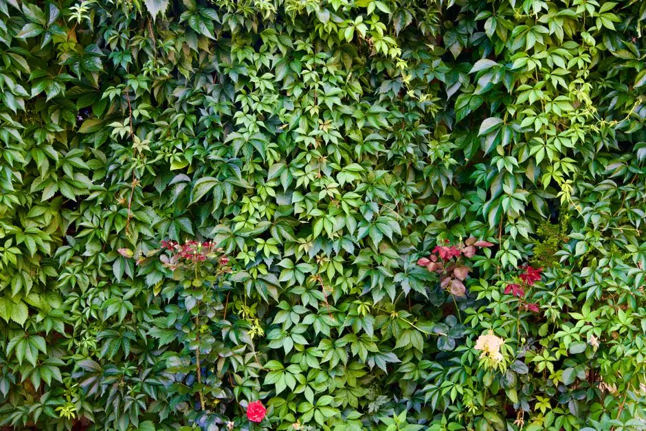 Greens & Outdoors at HIRANANDANI MAITRI PARK, Chembur East, Mumbai