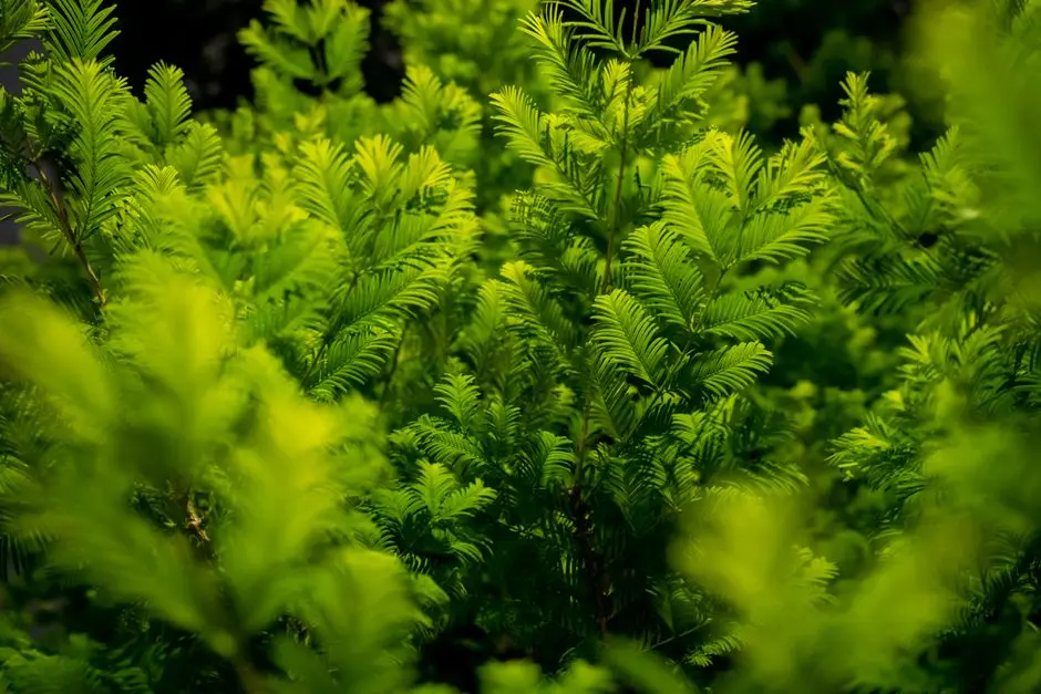 Greens & Outdoors at HIRANANDANI WAGLE ESTATE, Thane