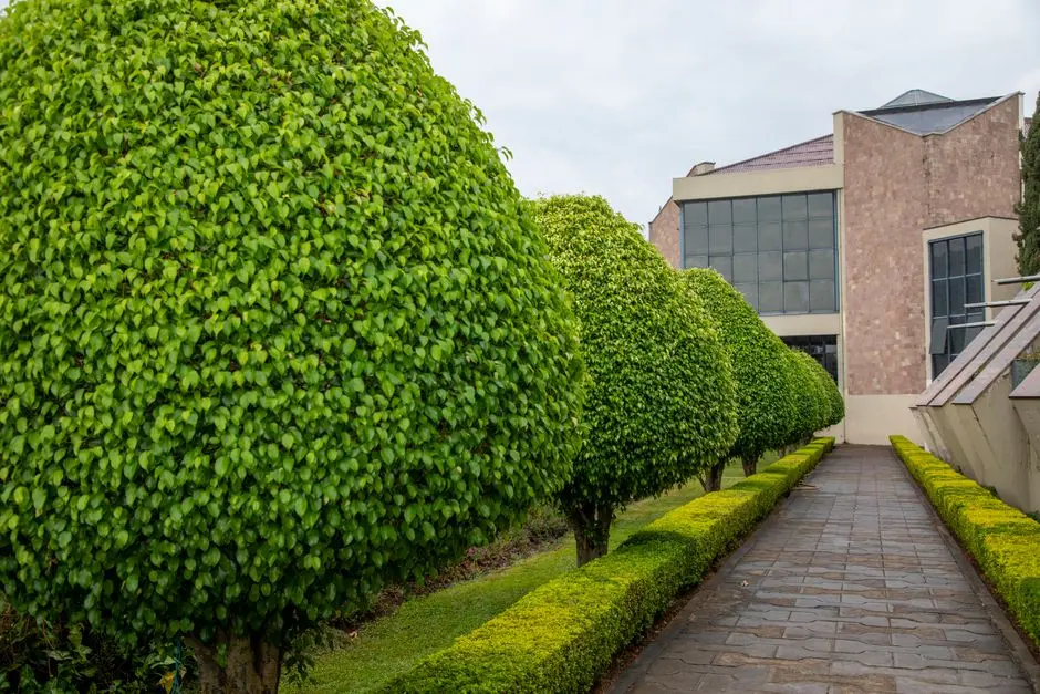 Greens & Outdoors at HIRANANDANI REGENT HILL, Hiranandani Gardens, Powai, Mumbai