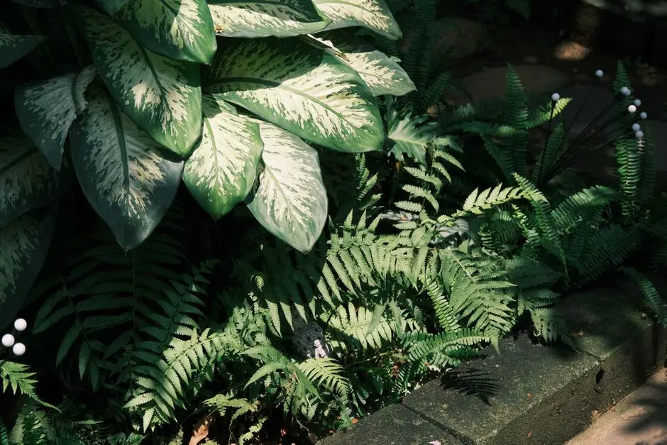 Greens & Outdoors at HIRANANDANI PARKS TIERRA III, Oragadam, Chennai