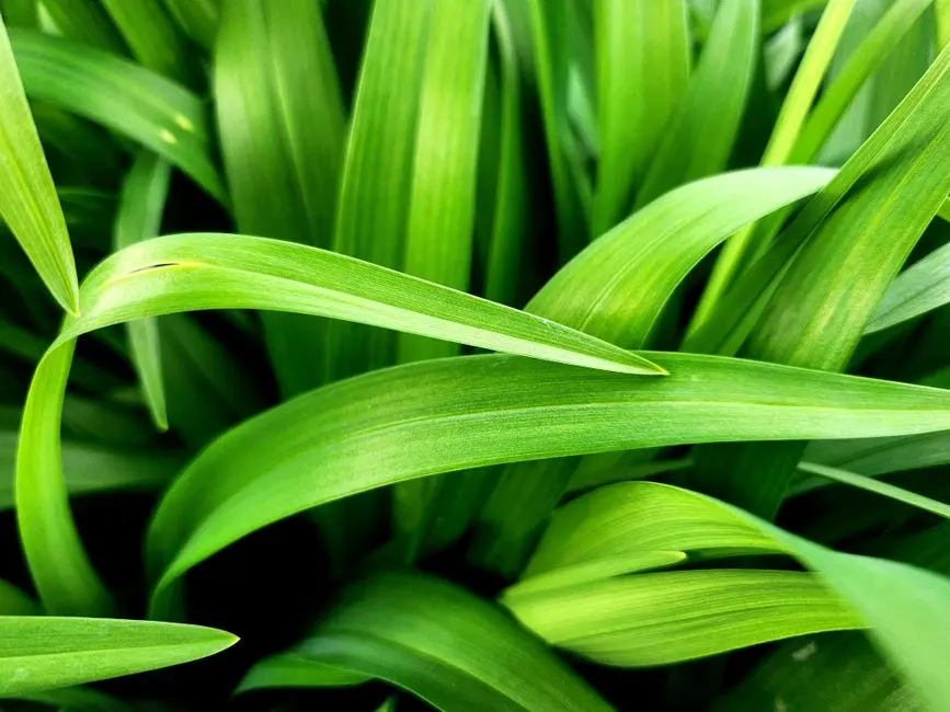 Greens & Outdoors at HIRANANDANI NERAL, Raigad